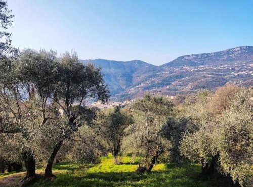 Bas de villa. Côte d'Azur, à 20 kms de Nice