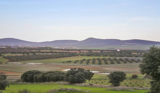 Casa Rural Alonso Quijano El Bueno