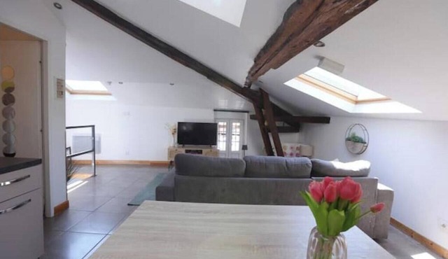 Charming rooftop cocoon in Vizille