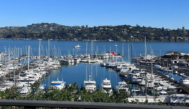 Comfy Studio in Charming Downtown Sausalito