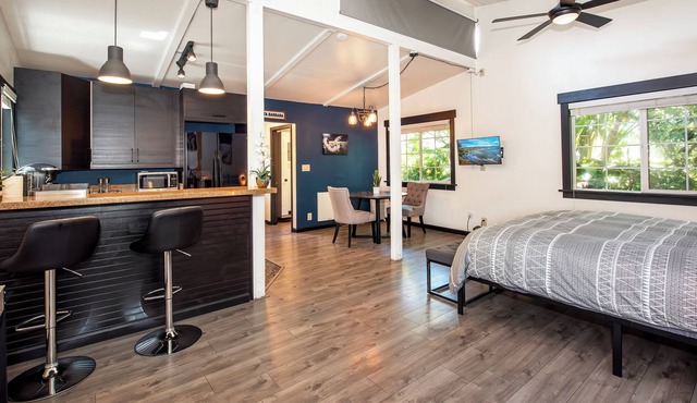 Contemporary Studio w/ King Bed