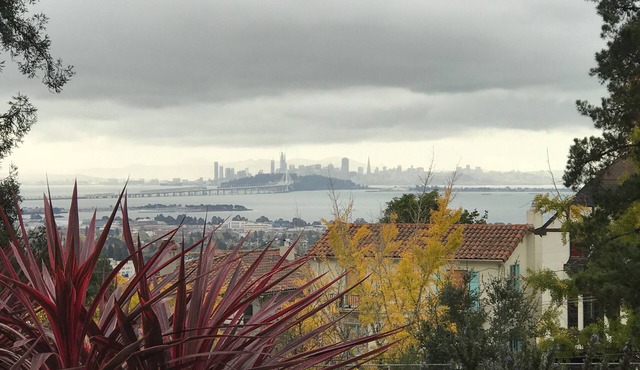 Convenient walk to UC, Haas, MSRI, Simons and Goldman School. Historic home.