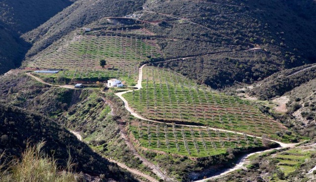 Cortijo El Rancho