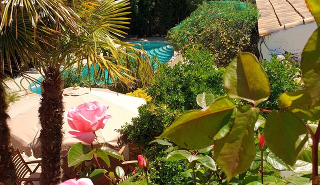 Cortijo Paraiso - Perfect Tropical Paradise (Pet Friendly) sleeps 6