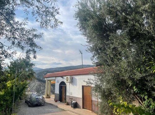 CORTIJO ZACATECAS