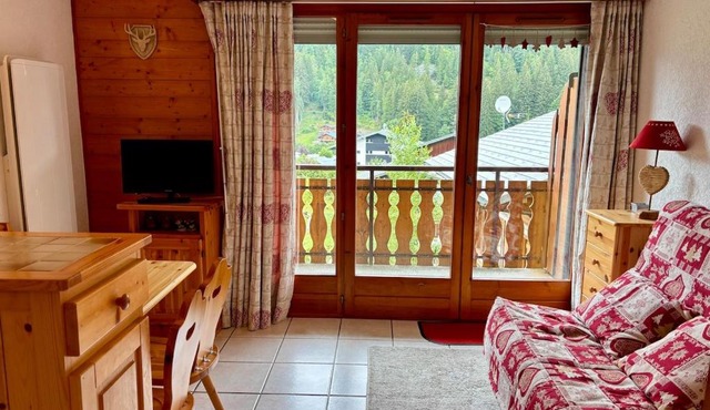 Cozy studio with mountain view