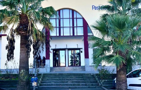 Don Polvorón