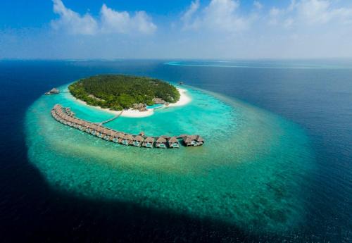 Dusit Thani Maldives - 50 percent off on Transfers for Stays of 5 Nights stay until 20 December 2026