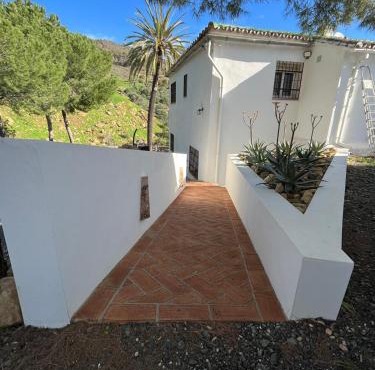 El bufon de la corte
