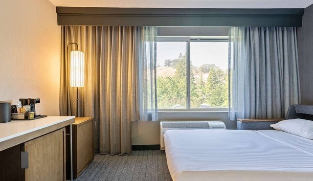 Experience a Relaxed Getaway! Pool, Free Parking, Minutes to Oakland Zoo!