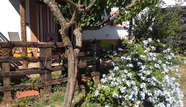 Finca El Chorrillo Studio