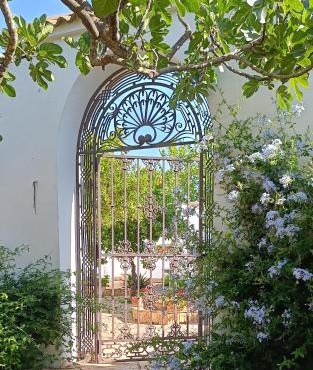 Finca Olivo Llorón