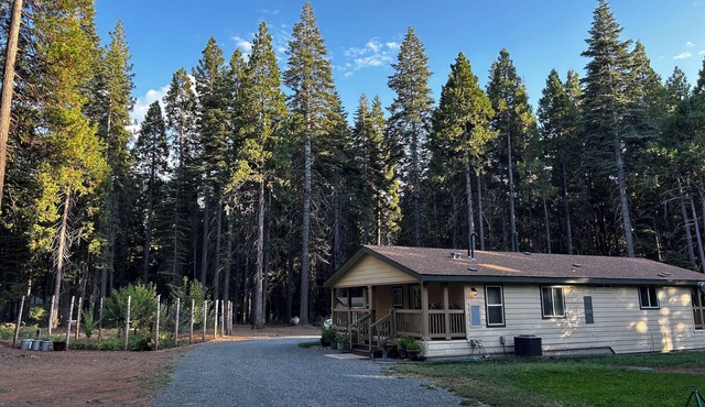 Hideaway Homestead Secluded, Family Escape