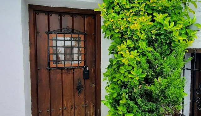 Holiday house for 4 persons approx. 60 qm in Benadalid, Andalusia (Costa del Sol)
