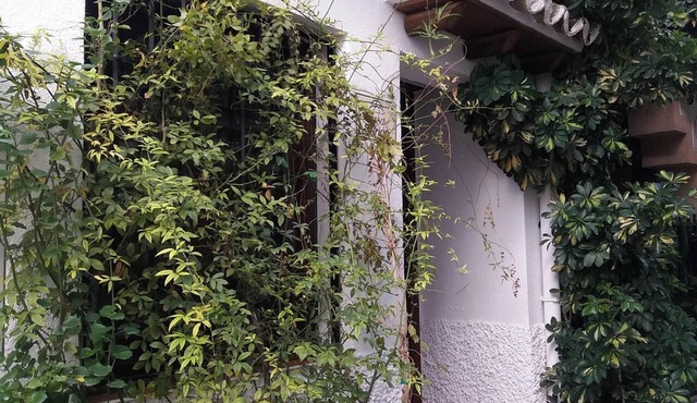 Homerez - Large house in Quesada