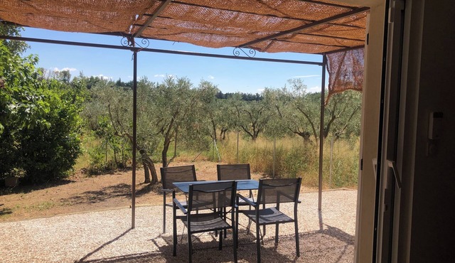 House surrounded by olive trees.