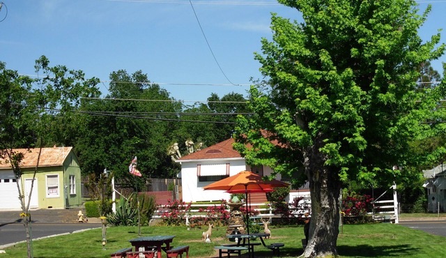 Jumping Frog Motel