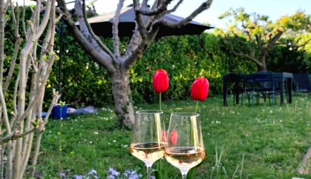 L'Instant Provence
