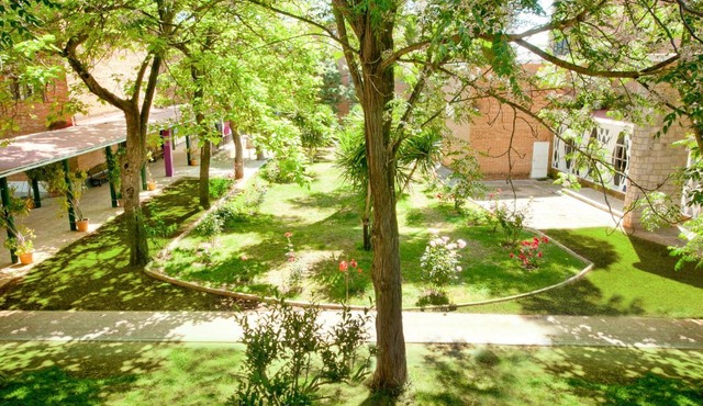 Lantana Garden