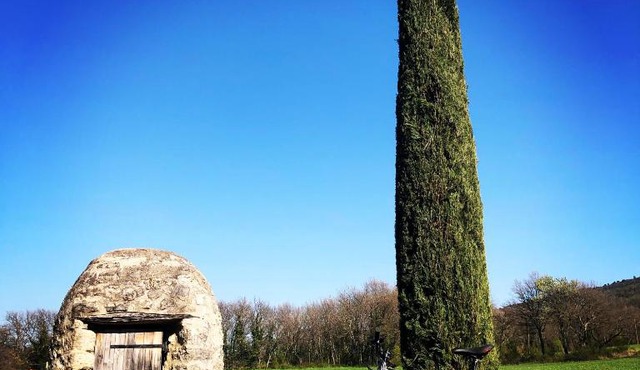 Le bois de Sibourg