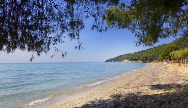 Luxurious Boutique Villa Vicky 50m from the beach