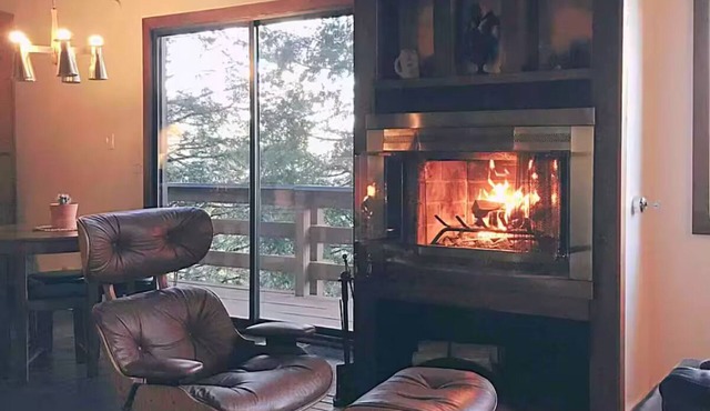 Magical Mid-Century Cabin Epic Views & Fireplace