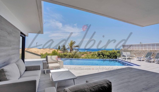 Modern villa with infinity pool
