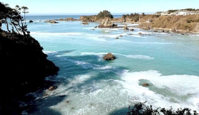 OCTOPUS SUITE, fire pit, BBQ, wildlife viewing platform, shared oceanfront deck.