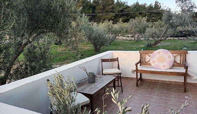 Olive & Home