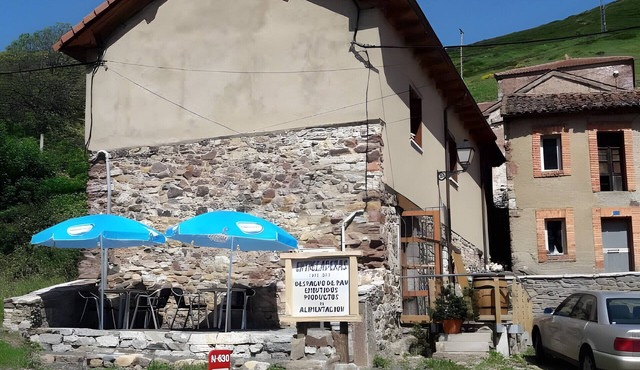 Rural Apartment 'Entreladeras 2' in Busdongo with Mountain Views