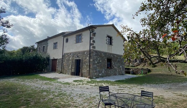 Rustic immersed in a centuries-old chestnut grove