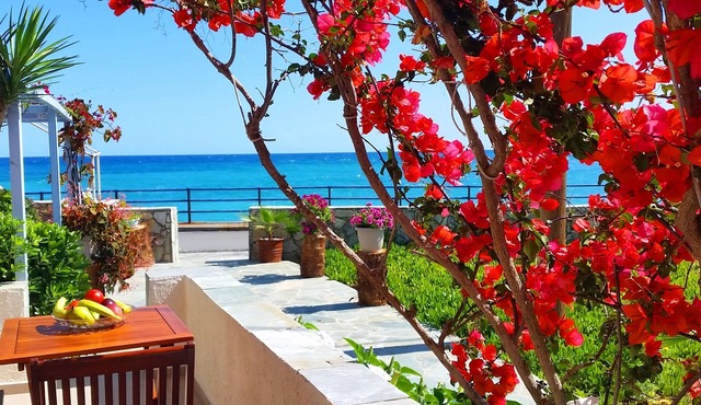 "Seaside Studios", BY THE SEA, in a colorful garden! Ideal for couples
