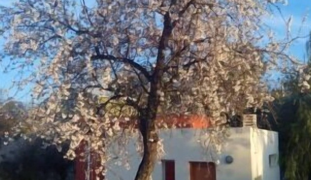 Self catering cottage La Aldea for 2 people