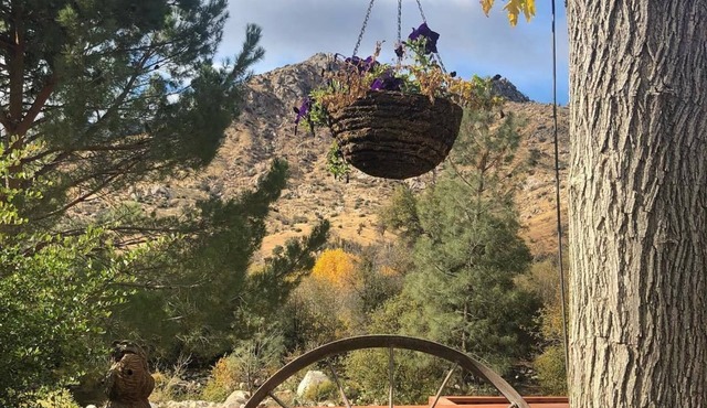 Sequoia Lodge