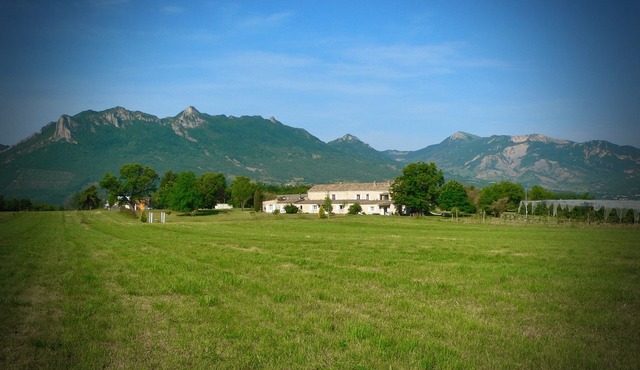 Sheepfold in Provence