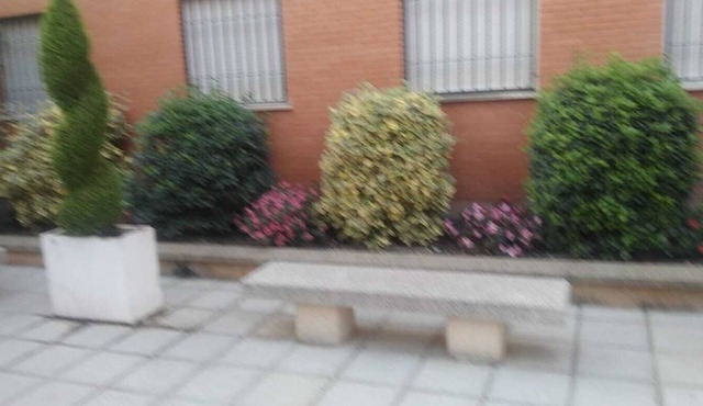 SPACIOUS AND BRIGHT APARTMENT NEAR THE CENTER