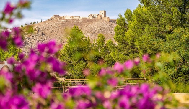 Spend a relaxing vacation in this idyllically located vacation home with pool access.