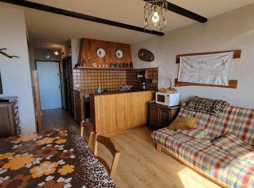 Studio 4 pers - Ski/Randonnées à pied - Balcon Sud - FR-1-393-141