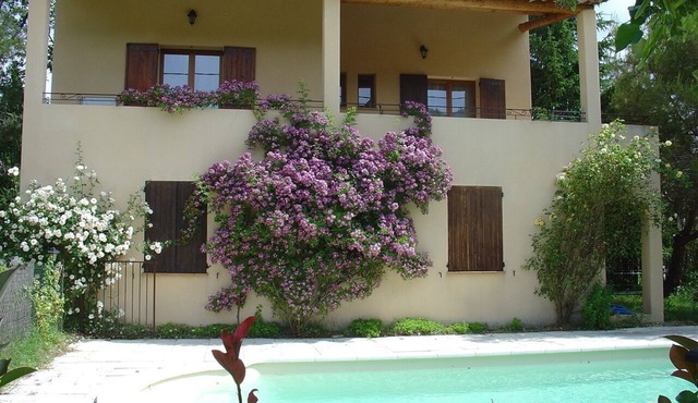 the begude -