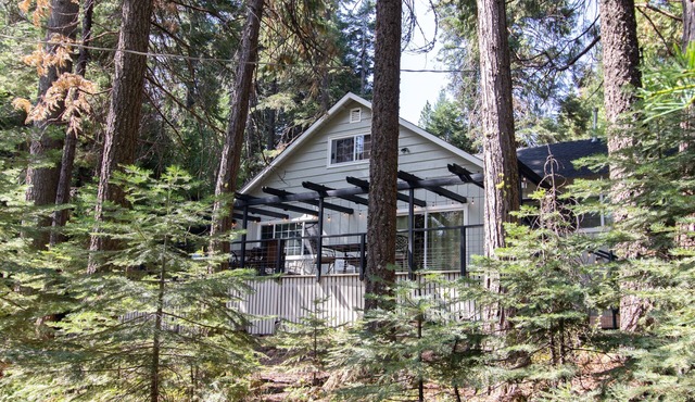 The Cabin Viola