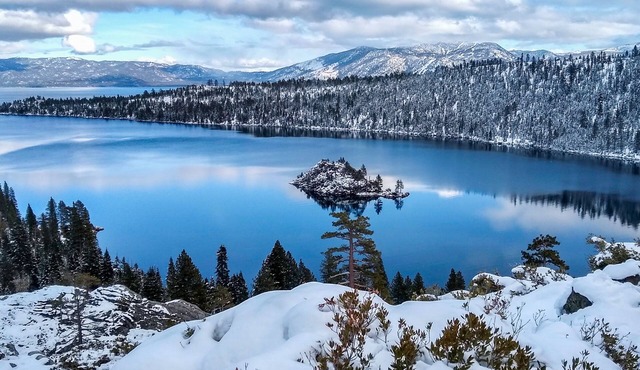 The Elevator House – Gorgeous Stateline Home for 10, 5 Min to Stagecoach Lift!