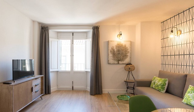 Urbe10 Plaza de la Merced Duplex 1BED ( 3H)