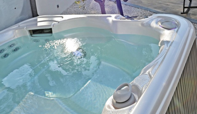 Villa-jacuzzi-1chb-jardin-10minsAixEnPce-QuartierChic