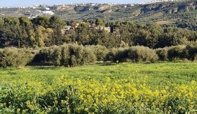 Villa Phyllia, a property with history - fifteen minutes from Iraklion airport.
