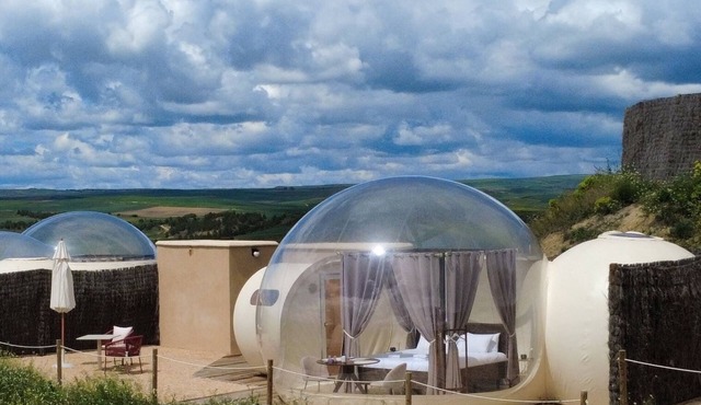 Wine Bubble