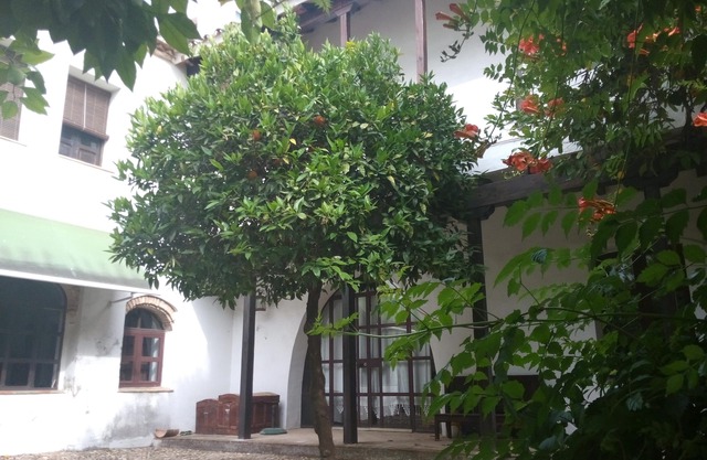 Patio Del Limonero 