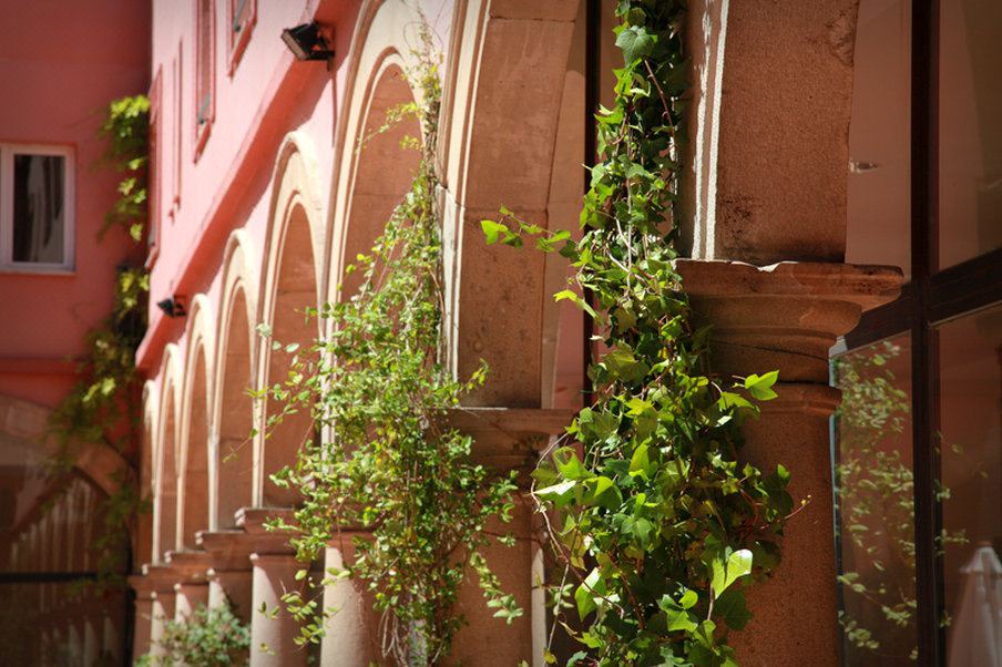 Photo of Buildings in Old Town Baeza