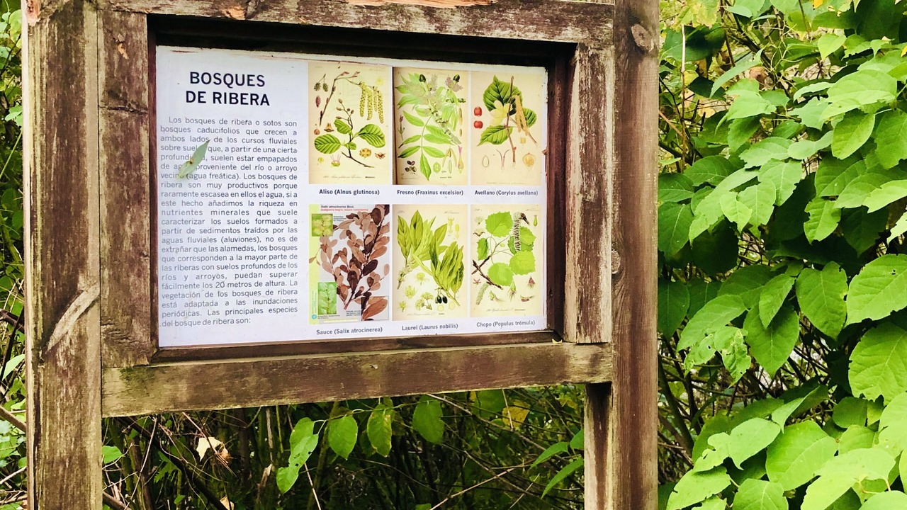 Photo of Outdoor in Marron
