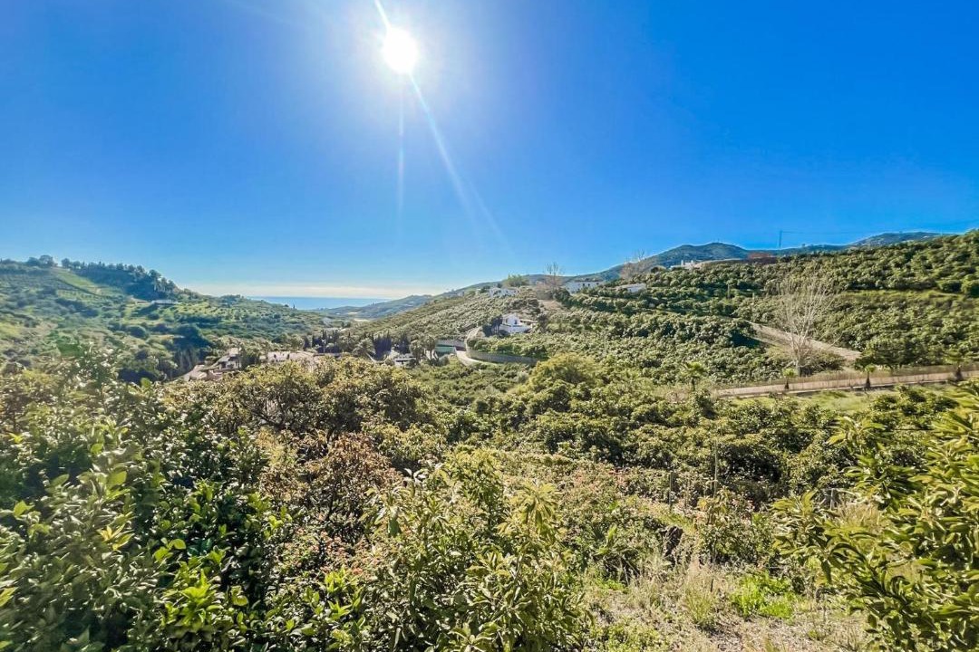 Photo of Others in Frigiliana