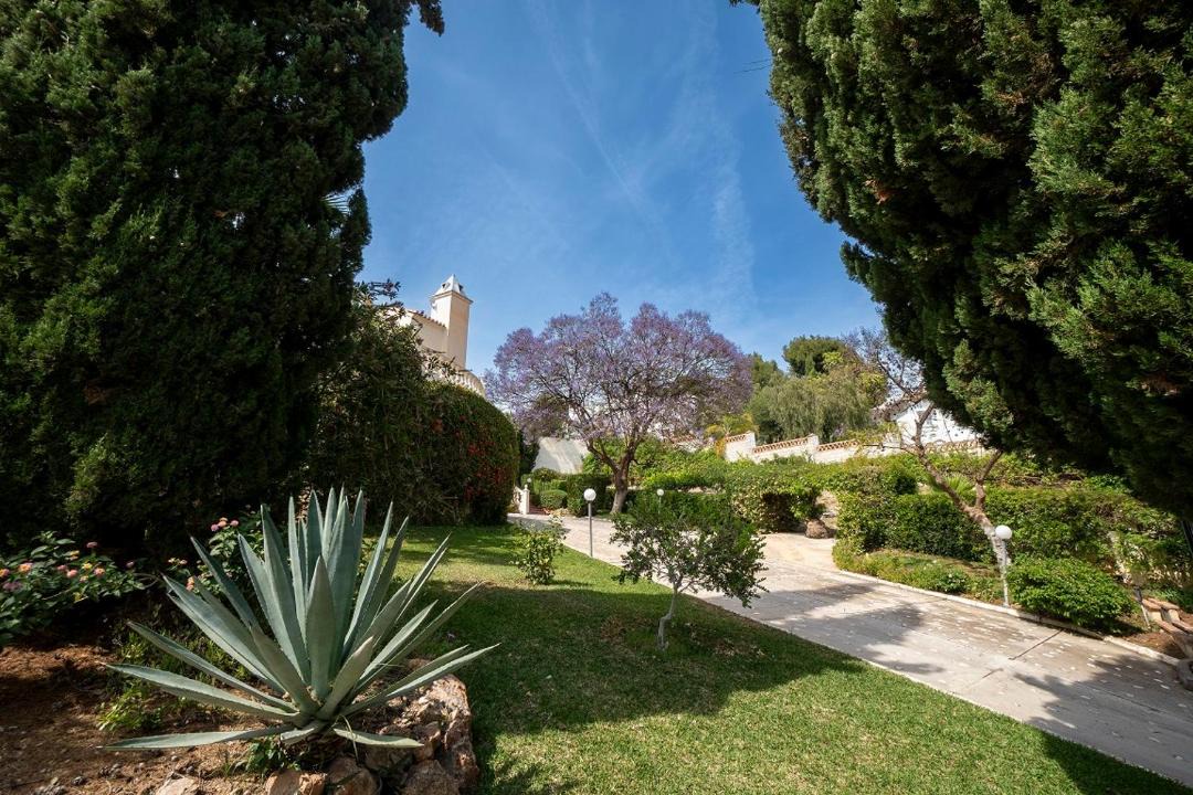 Photo of Others in Frigiliana
